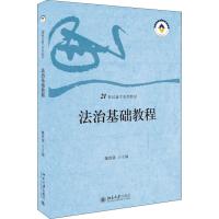 法治基础教程 魏胜强 主编 著 魏胜强 编 大中专 文轩网