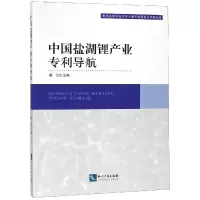中国盐湖锂产业专利导航 葛飞 著 社科 文轩网