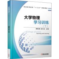 大学物理学习训练(下) 编者:龚艳春//武文远 著 龚艳春,武文远 编 大中专 文轩网