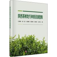 陕西茶树地方种质资源图集 江昌俊 等 著 专业科技 文轩网