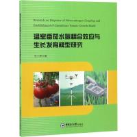 温室番茄水氮耦合效应与生长发育模型研究 石小虎 著 专业科技 文轩网