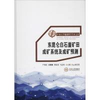 东昆仑白石崖矿田成矿系统及成矿预测 尹利君 等 著 专业科技 文轩网