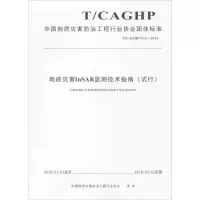 地质灾害InSAR监测技术指南(试行) T/CAGHP 013-2018 中国地质灾害防治工程行业协会 著 专业科技 