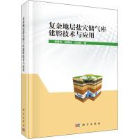 复杂地层盐穴储气库建腔技术与应用 杨春和,施锡林,马洪岭 著 专业科技 文轩网