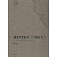 湖北精准扶贫工作现状调查 彭玮 著 经管、励志 文轩网