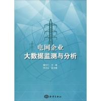 电网企业大数据监测与分析 董天仁 编 专业科技 文轩网