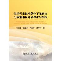 复杂开采技术条件下无底柱分段崩落法开采理论与实践 张志贵 等 著 专业科技 文轩网