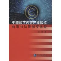 中美数字内容产业版权政策与法律制度比较 孙那 著 社科 文轩网