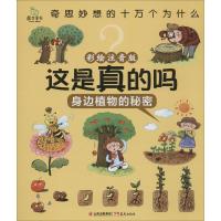 这是真的吗(全10册彩绘注音版) 禹晨文化 编著;猫咪饭饭 绘图 著作 少儿 文轩网