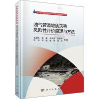 油气管道地质灾害风险评价原理与方法 冼国栋 等 著 专业科技 文轩网