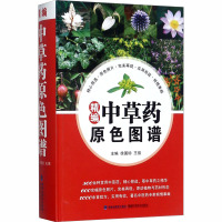 精编中草药原色图谱 徐国钧,王强 编 生活 文轩网