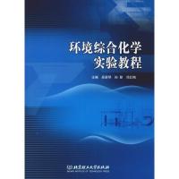 环境综合化学实验教程 吴翠琴,孙慧,邓红梅 编 专业科技 文轩网