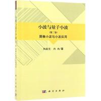 图像小波与小波应用/小波与量子小波(第2卷) 冉启文,冉冉 著 专业科技 文轩网