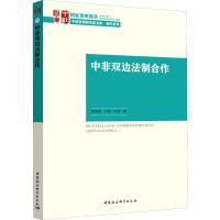 中非双边法制合作 朱伟东,王琼,王婷 著 社科 文轩网