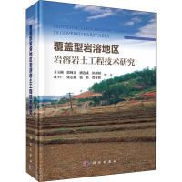 覆盖型岩溶地区岩溶岩土工程技术研究 王玉洲 等 著 专业科技 文轩网