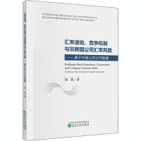 汇率波动、竞争机制与非跨国公司汇率风险——基于中国上市公司数据 徐展 著 经管、励志 文轩网