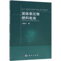 固体氧化物燃料电池 孙克宁 著 专业科技 文轩网