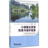 小城镇水资源利用与保护指南 蒋林君 主编 著 专业科技 文轩网