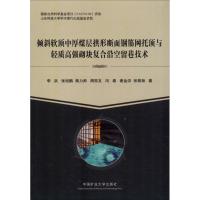 倾斜软顶中厚煤层拱形断面钢筋网托顶与轻质高强砌块复合沿空留巷技术 李洪 等 著 大中专 文轩网