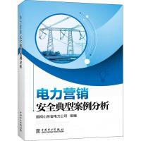 电力营销安全典型案例分析 国网山东省电力公司 著 国网山东省电力公司 编 专业科技 文轩网