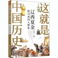 这就是中国历史 辽西夏金 铁马冰河入梦来 何孝荣 编 少儿 文轩网