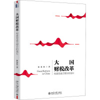 大国财税改革 构建普惠式增长的基石 林双林 著 经管、励志 文轩网