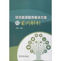 综合能源服务解决方案与案例解析 赵亮 编 专业科技 文轩网