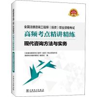 现代咨询方法与实务 电力版 2020 《全国注册咨询工程师(投资)职业资格考试高频考点精讲精练》编委会 编 专业科技 