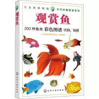 观赏鱼 大自然博物馆编委会 编 文教 文轩网