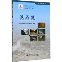 泥石流 陕西省地质环境监测总站 编 专业科技 文轩网