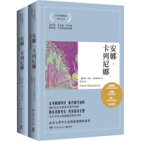 安娜·卡列尼娜(全2册) (俄罗斯)列夫·托尔斯泰 著 靳戈 译 文学 文轩网