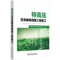 特高压交流输电线路工程施工 国网山东省电力公司泰安供电公司 著 国网山东省电力公司泰安供电公司 编 专业科技 文轩网