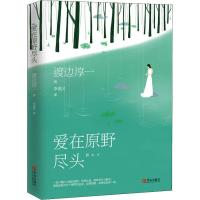 爱在原野尽头 渡边淳一 著 李重民 译 文学 文轩网