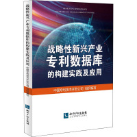 战略性新兴产业专利数据库的构建实践及应用 中国专利技术开发公司 编 经管、励志 文轩网