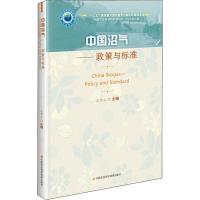 中国沼气——政策与标准 王登山 编 专业科技 文轩网