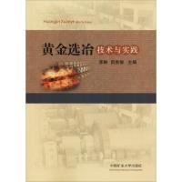 黄金选冶技术与实践 李琳 吕宪俊 著 李琳,吕宪俊 编 大中专 文轩网