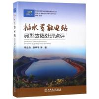 抽水蓄能电站典型故障处理点评 李浩良 孙华平 等著 著 李浩良 孙华平 等著 编 专业科技 文轩网