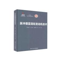 脉冲爆震涡轮发动机技术 郑龙席 等 著 专业科技 文轩网