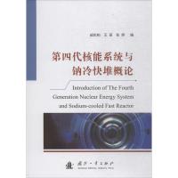 第四代核能系统与钠冷快堆概论 成松柏,王丽,张婷 著 专业科技 文轩网