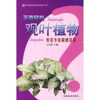 养花专家解惑答疑丛书/天南星科观叶植物 王凤祥[等]编写 著作 著 专业科技 文轩网