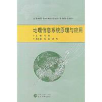 地理信息系统原理与应用 马驰 编 著作 专业科技 文轩网