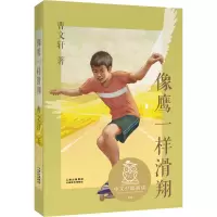 像鹰一样滑翔 曹文轩 著 少儿 文轩网