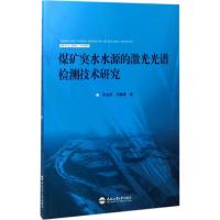 煤矿突水水源的激光光谱检测技术研究 周孟然,闫鹏程 著 专业科技 文轩网