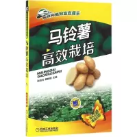马铃薯高效栽培 张丽莉,魏峭嵘 主编 专业科技 文轩网