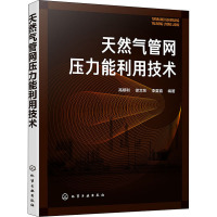 天然气管网压力能利用技术 高顺利,徐文东,李夏喜 编 专业科技 文轩网