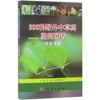 300种野外中草药鉴别图谱 李薇 主编 生活 文轩网