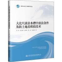 大比尺波浪水槽中波浪条件及软土地基模拟技术 刘针 等 著 专业科技 文轩网