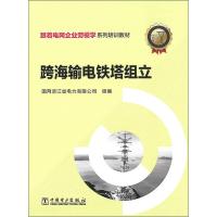 跨海输电铁塔组立 国网浙江省电力有限公司 编 专业科技 文轩网