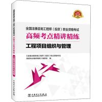 工程项目组织与管理 电力版 2020 《全国注册咨询工程师(投资)职业资格考试高频考点精讲精练》编委会 编 专业科技 