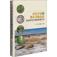 河套平原与鄂尔多斯高原盐碱地常见植物图谱手册 王婧,逄焕成 著 王婧,逄焕成 编 专业科技 文轩网